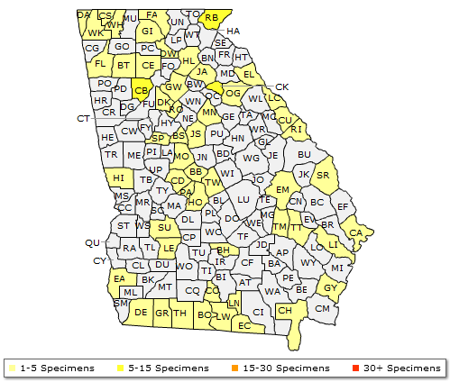 The range of Ageratina aromatica